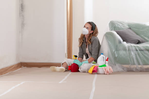 Reliable Mold Cleanup contractor in Dallas, NC by WQB Mold Removal
